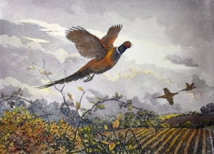 L045 - Pheasant