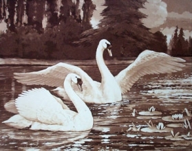 T919 - Swans - Plate I