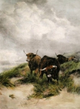 E119 - On the Dunes (Cattle)